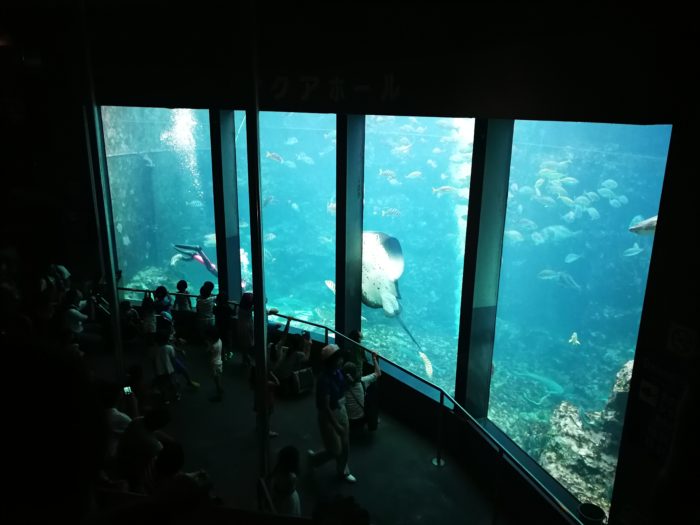 下田海中水族館の巨大水槽