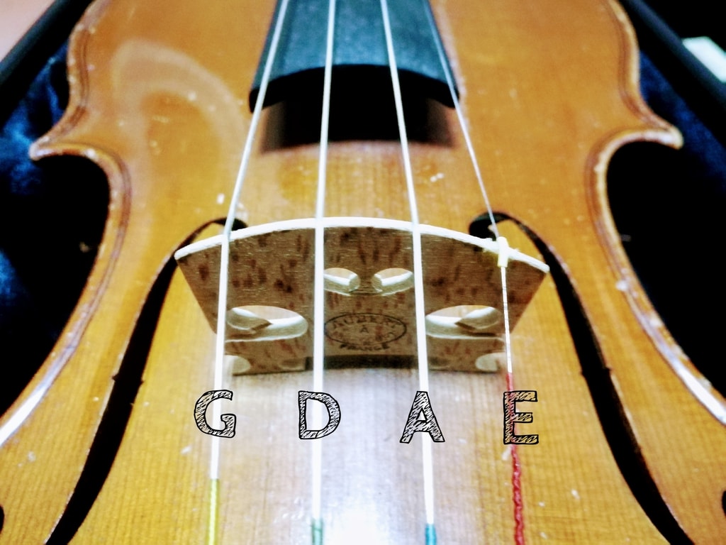 バイオリンの弦はどれを選べばいい?初心者へもオススメの弦のご紹介。 | nohmiso.com